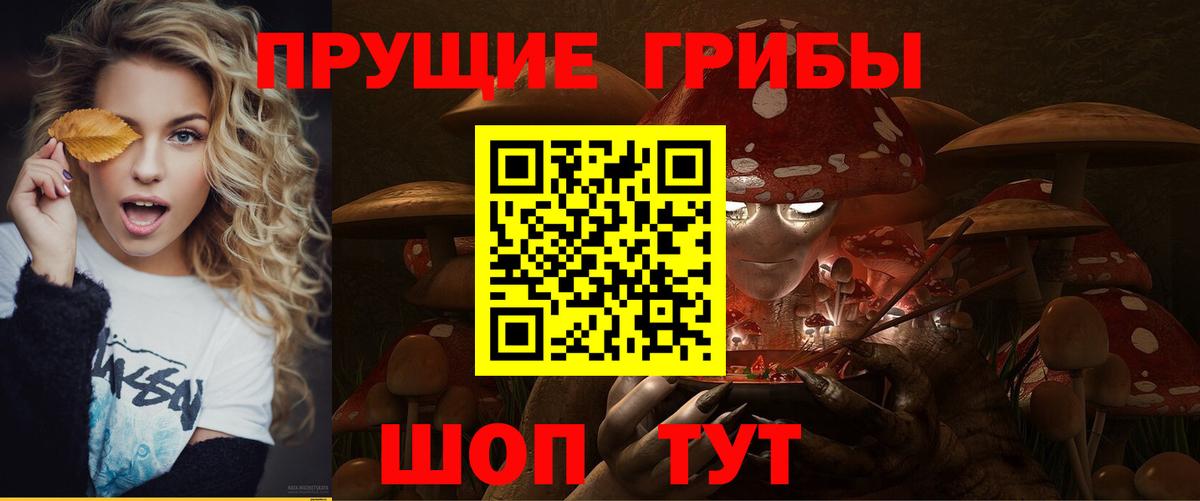 Новоуральск  Галлюциногенные грибы Psilocybe  как найти наркотики  Вход с VPN 